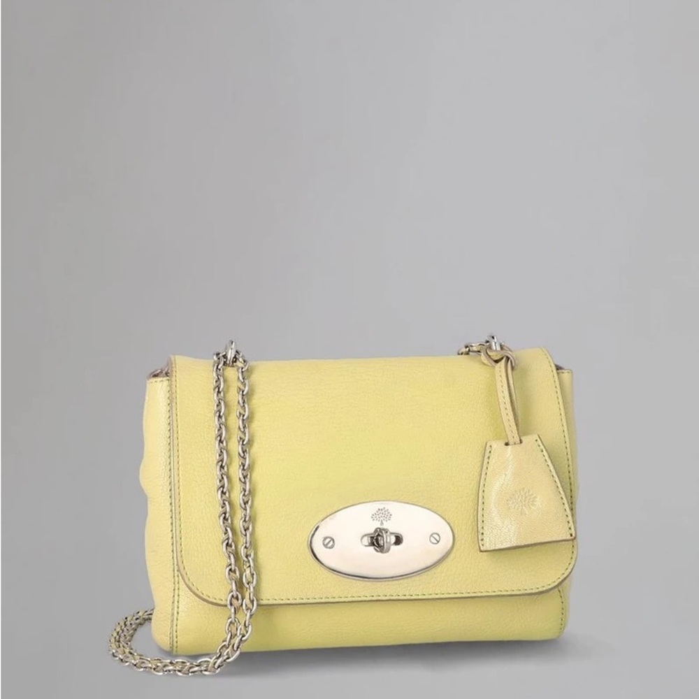 Mulberry Goat Lether Lily Bag